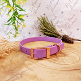 Amethyst Purple Biothane Vegan Dog Collar